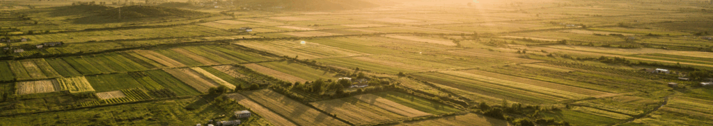 Holistic Site Evaluation Emerges as Key Tool for Agricultural Land Planning in Florida