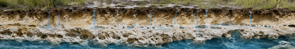 How Much Rain Does Florida Need to Recover from Drought?